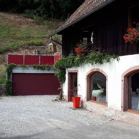 Le Moulin Des Automates Apartamento Fréland Exterior foto