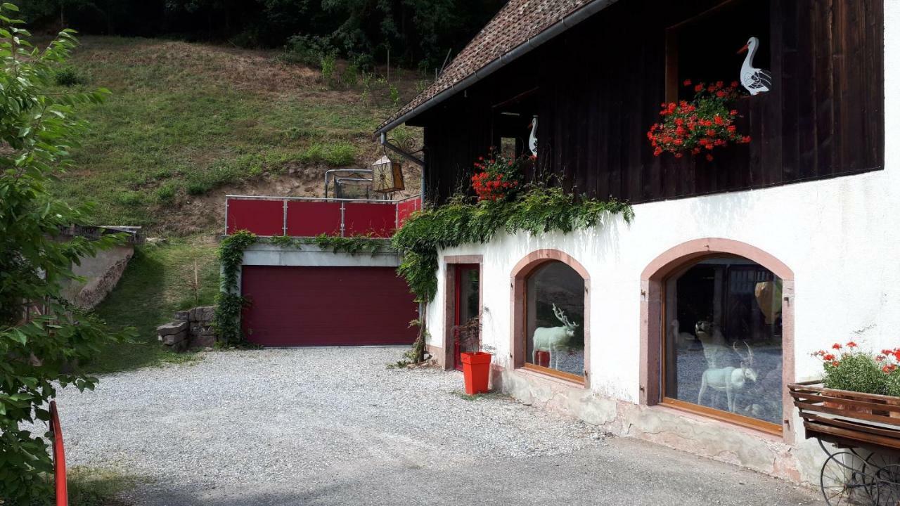 Le Moulin Des Automates Apartamento Fréland Exterior foto